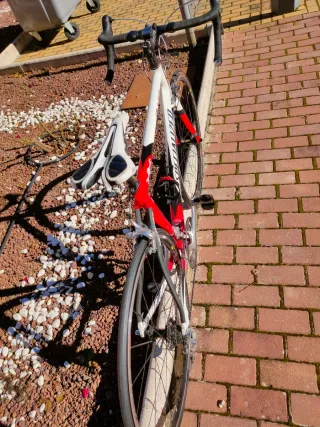 Bicicleta de carretera Specialized Allez Comp