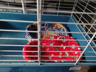 Jaula para conejos en perfecto estado