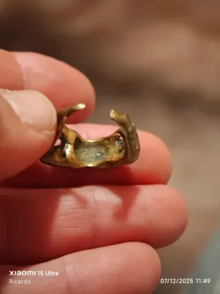 Anillo de bronce antiguo. Mujer desnuda
