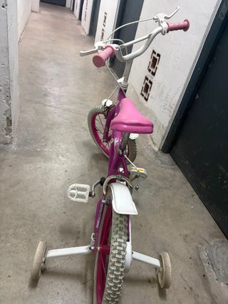 Bici Princesas con Ruedines hasta 6 años