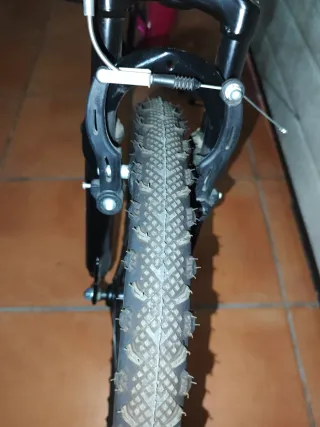 Bicicleta Mitical Charm 205 niña