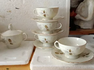 Servizio Tazze Richard Ginori Porcellana