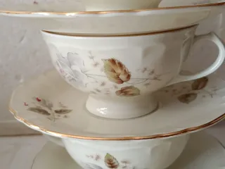 Servizio Tazze Richard Ginori Porcellana