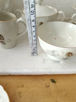 Servizio Tazze Richard Ginori Porcellana