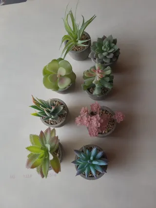 Mini Suculentas Artificiales (Set de 8)