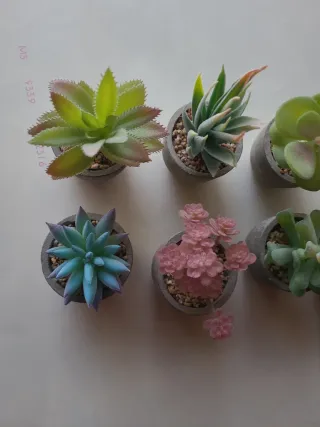 Mini Suculentas Artificiales (Set de 8)