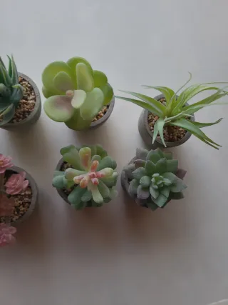 Mini Suculentas Artificiales (Set de 8)
