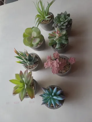 Mini Suculentas Artificiales (Set de 8)