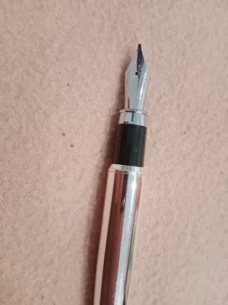 Pluma elegante plateada y negra