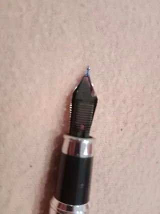 Pluma elegante plateada y negra