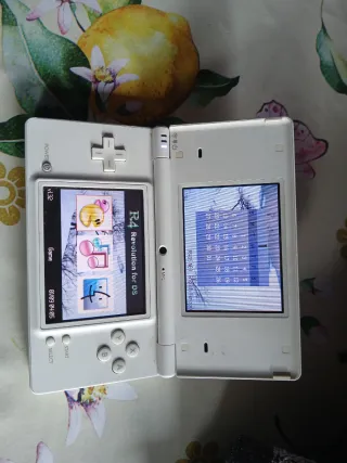 Nintendo DSi bianca