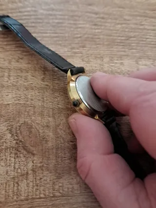Reloj VERNI de pulsera