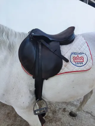 Silla de salto Zaldi 19"