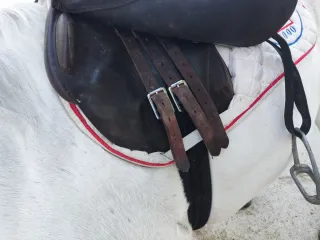 Silla de salto Zaldi 19"