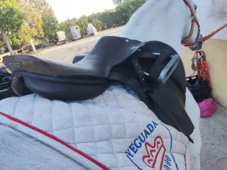 Silla de salto Zaldi 19"