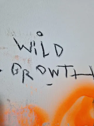 Mr Oreke - WILD GROWTH