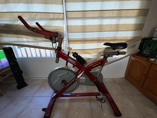Bicicleta Spinning Profesional BH