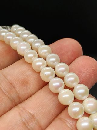 Collar Perlas Japonesas Plata 7mm