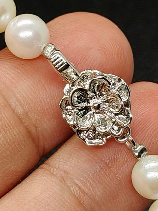 Collar Perlas Japonesas Plata 7mm