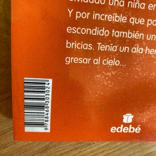 ROSANDA Y EL ÁNGEL, DE ÁNGELES GONZÁLEZ-SINDE