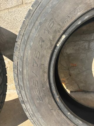 Neumáticos furgoneta Michelin