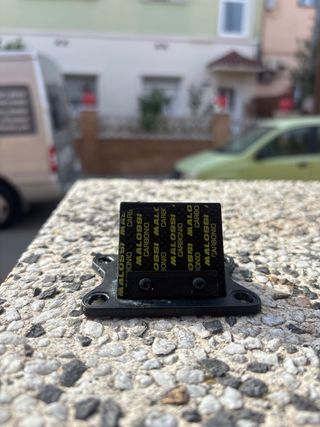 Caja de láminas MALOSSI VL16 AM6 Carbono