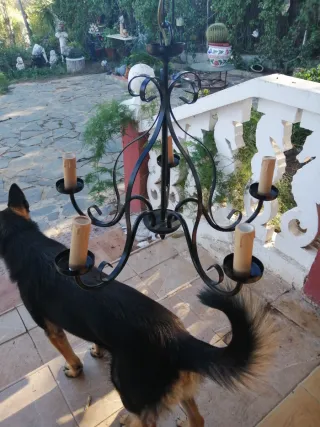 Lámpara de metal negra