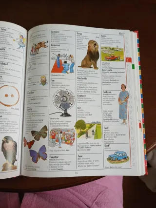 Mi Primer Diccionario de Ingles (Spanish Edition)