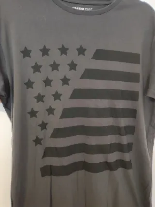 Camiseta manga corta gris con bandera