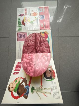 Mi Libro del Cuerpo Humano