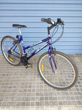 Bicicleta Globe Trotter 26 Pulgadas 18 Velocidad