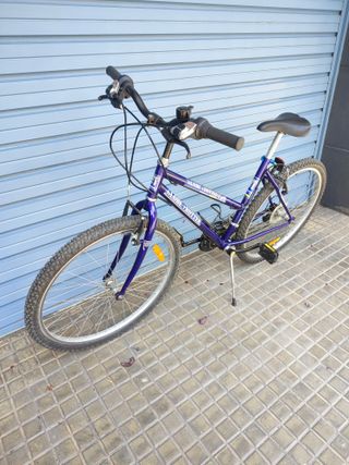 Bicicleta Globe Trotter 26 Pulgadas 18 Velocidad