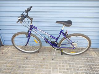 Bicicleta Globe Trotter 26 Pulgadas 18 Velocidad