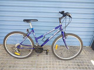 Bicicleta Globe Trotter 26 Pulgadas 18 Velocidad
