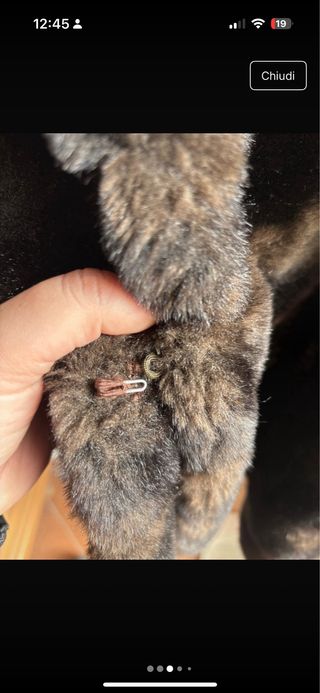 Pelliccia sintetica marrone