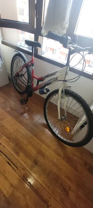 Bicicleta TOKBIKE 50Y