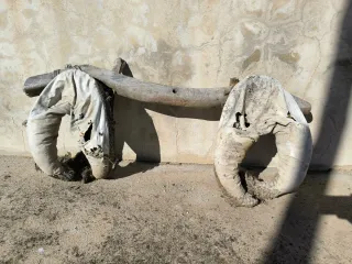 Ubio de madera para mulos