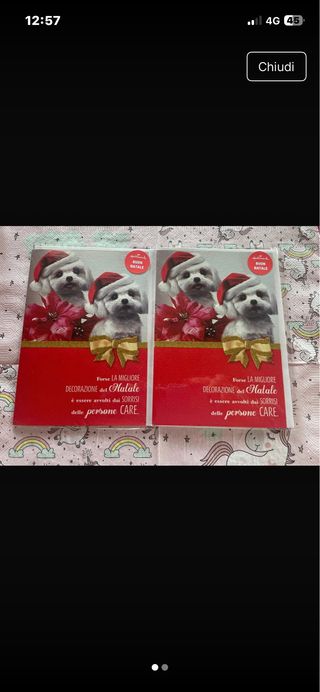 2 Biglietti Auguri Natale Cani