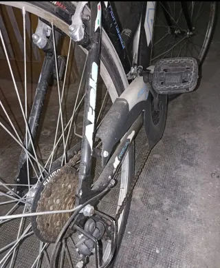 Bici Atala 26 donna ruote anti-foratura Roma sud