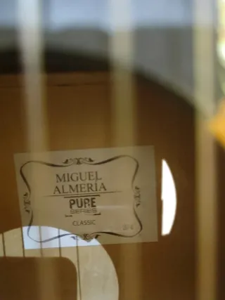 Guitarra española, funda y soporte