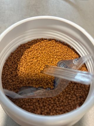 Acuario Aquatlantis 11L con luz LED incluida