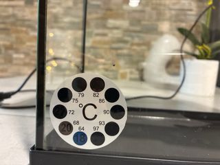 Acuario Aquatlantis 11L con luz LED incluida