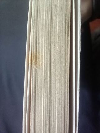 Pepitas de oro. Palabras de un buda contemporáneo