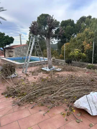 Jardinería profesional