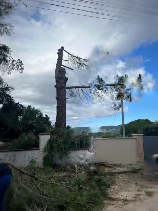 Jardinería profesional