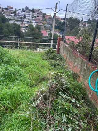 Servicio de poda y desbroce de parcelas