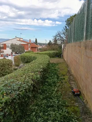 Jardinero económico