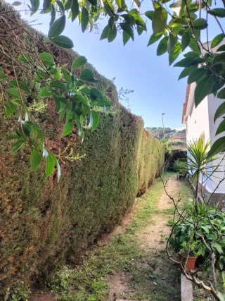 Jardinero económico