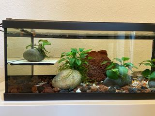 Acuario pecera agua caliente