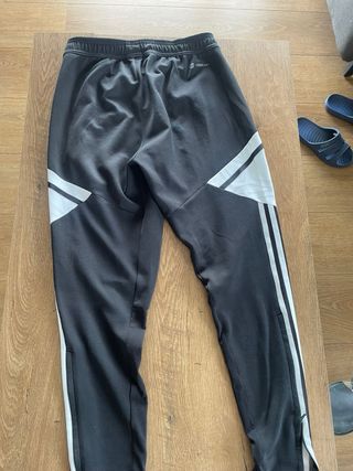 Chandal completo Real Zaragoza